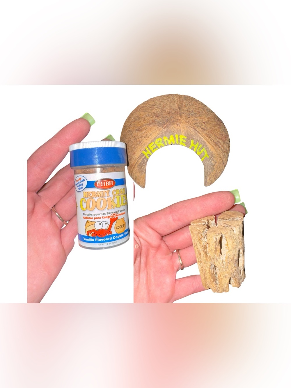 Hermit crab accessories